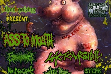 Porky Pigs Fest (Sectorial + Ass To Mouse (Pl) Russian/Ukrainian Tour 2011)